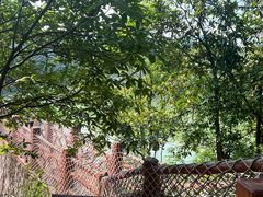 -广州白江湖森林公园