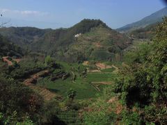 -杨家堂村