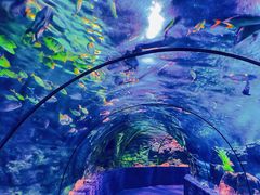 -郑州海洋馆