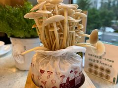 -烹然四季椰子鸡火锅(团结湖总店)