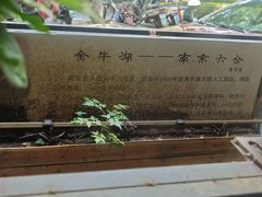 -南京金牛湖巨碗鱼头