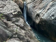 -广州白江湖森林公园