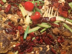 -老板恋上鱼(恒隆广场店)