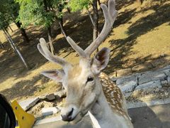 -秦皇岛野生动物园