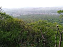 -紫金山索道-售票处