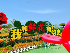 -南通鲜花小镇