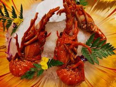 -蝶园·装修中(BFC外滩金融中心店)