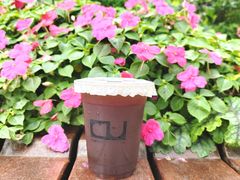 -CONTENT U COFFEE(中山公园店)