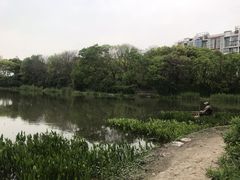 -新江湾城公园