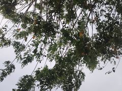 -海恋园海鲜餐馆