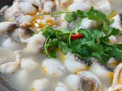 -大鼎石锅鱼(春江里店)