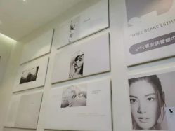 -三只熊皮肤管理中心旗舰店