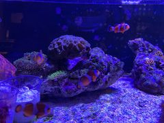 -趣陶陶艺手工坊(新世界百货重庆店)