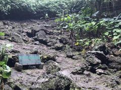 -海口火山口国家地质公园