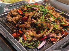 -三强鸽子(中原路店)