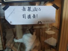 -白兔子密室(长寿路店)