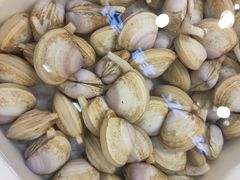 -华威西营里农产品批发市场