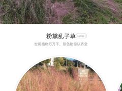 -贡湖湾湿地公园