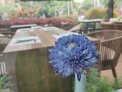 -荷风细雨·中国茶宴(碧云店)