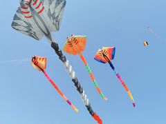 -潍坊滨海云门国际风筝放飞场