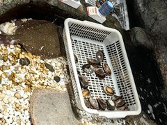 -郑庄脂渣海鲜楼(九水路店)