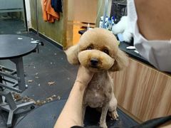 -八公叔叔宠物美容连锁(春申店)