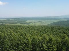 -塞罕坝国家级自然保护区