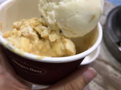 -哈根达斯(西安北郊店)