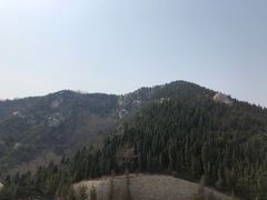 -龙口南山旅游景区