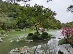 -云溪植物园