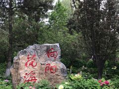 -太阳宫公园