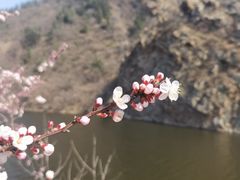 -金龙寺国家森林公园