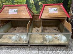 -上海大自然野生昆虫馆(东方明珠·爬宠昆虫探索中心)