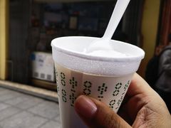 -洪馨椰子