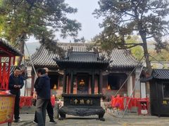 -泰山风景名胜区-普照寺