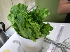 -古乐牛香·鲜牛肉牛杂火锅(新区店)