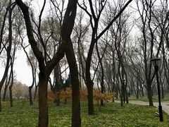 -玲珑塔公园