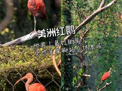 -红山森林动物园