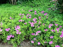 android_upload_pic-咸宁万豪温泉谷度假区