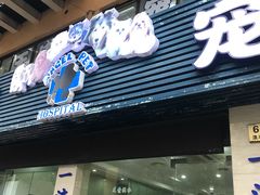 -瑞派天使宠物医院·神经外科·骨科·核磁(洛川中路店)