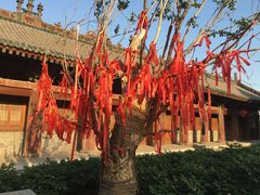 -韩城古城