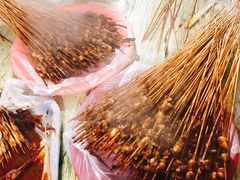 -十里铺铁板鱿鱼