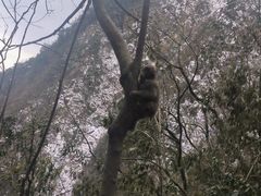 -九峰山