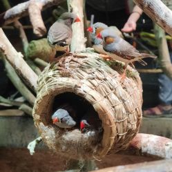 -Zoolung Zoolung动物主题公园(海信广场店)