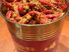 -阿财老铺·老蚌埠龙虾城(华夏总店)