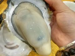 -蚝专家(北滘店)
