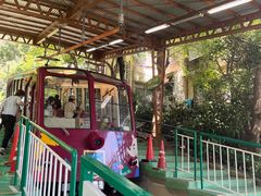 -神户市立六甲山牧场