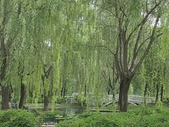 -石家庄市植物园
