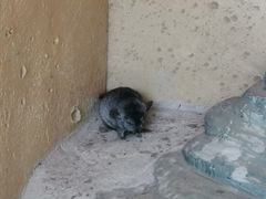 -北戴河集发农业梦想王国