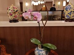 -桃源春晓中餐厅 TaoYuan Restaurant